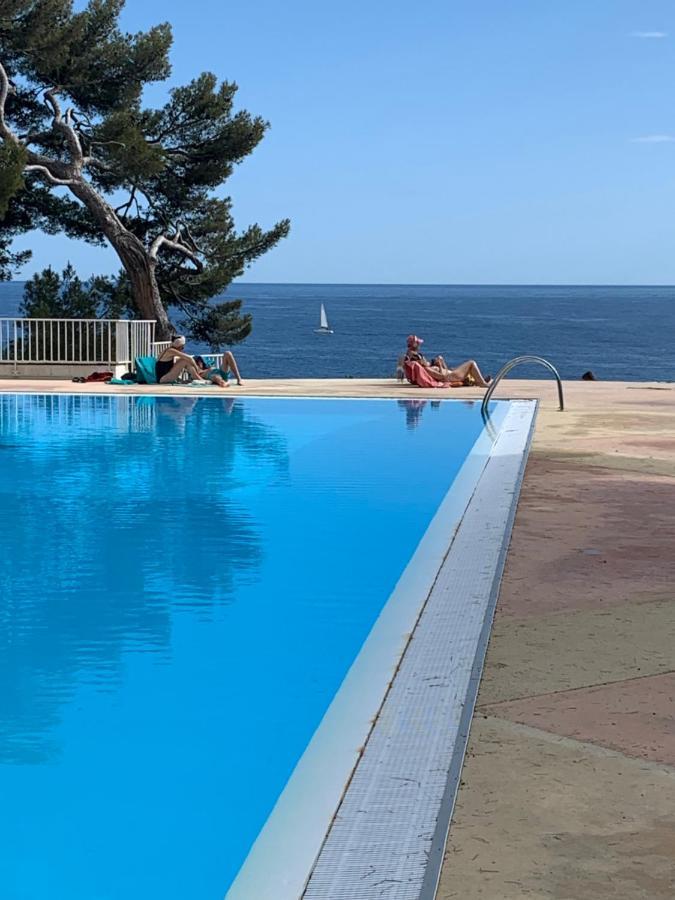 Horizon Bleu Bandol : Appartement Pieds Dans L'Eau Екстериор снимка
