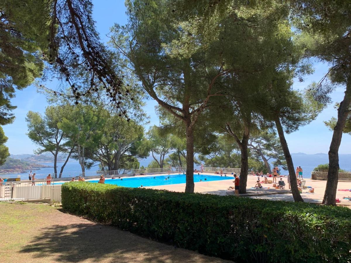 Horizon Bleu Bandol : Appartement Pieds Dans L'Eau Екстериор снимка